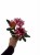 Photoroom_20251220_100111.JPG