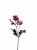 Photoroom_20251220_100021.JPG